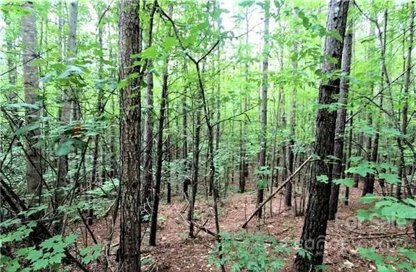 0 Chasewood Drive #13, Rutherfordton, NC 28139