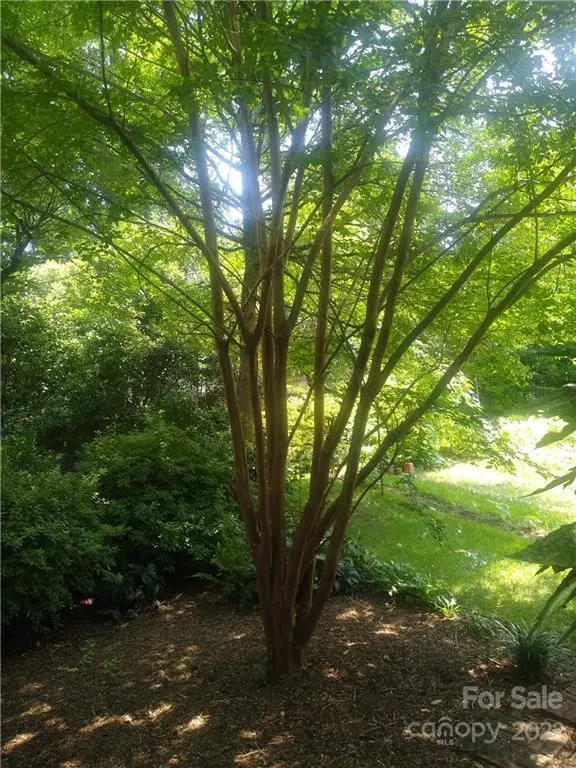 3397 Camp Julia Road, Kannapolis, NC 28083 - Image #1