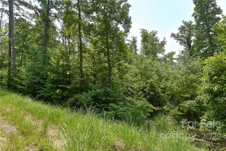 Lot 2 The Vines Boulevard #Lot 2, Marshall, NC 28753 - Image #2