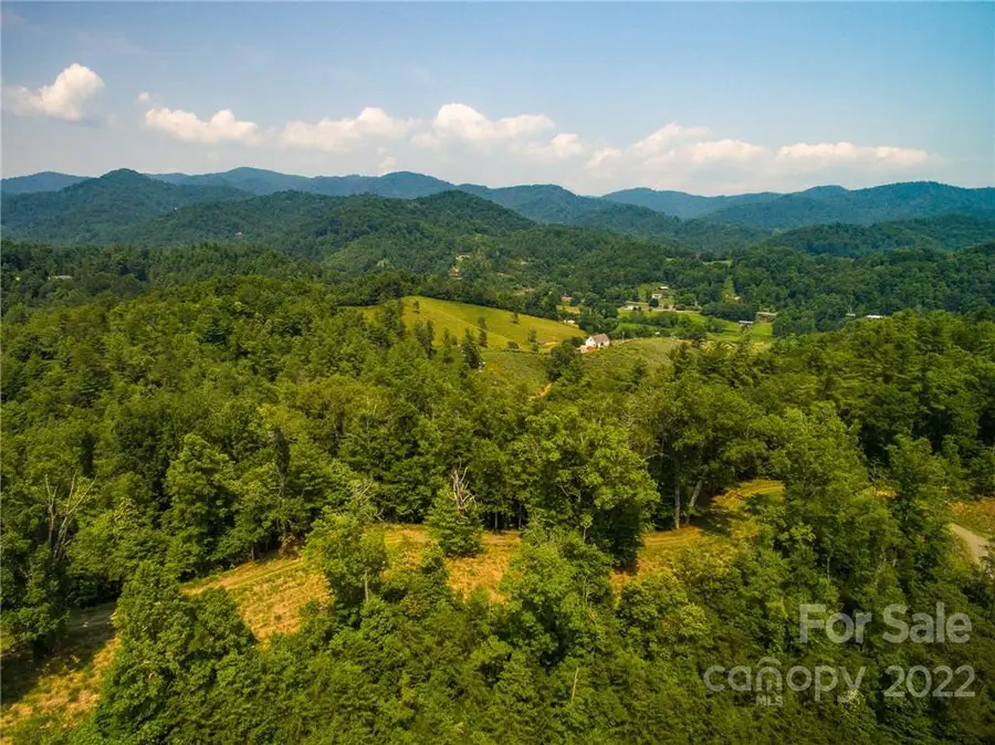 Lot 2 The Vines Boulevard #Lot 2, Marshall, NC 28753 - Image #3