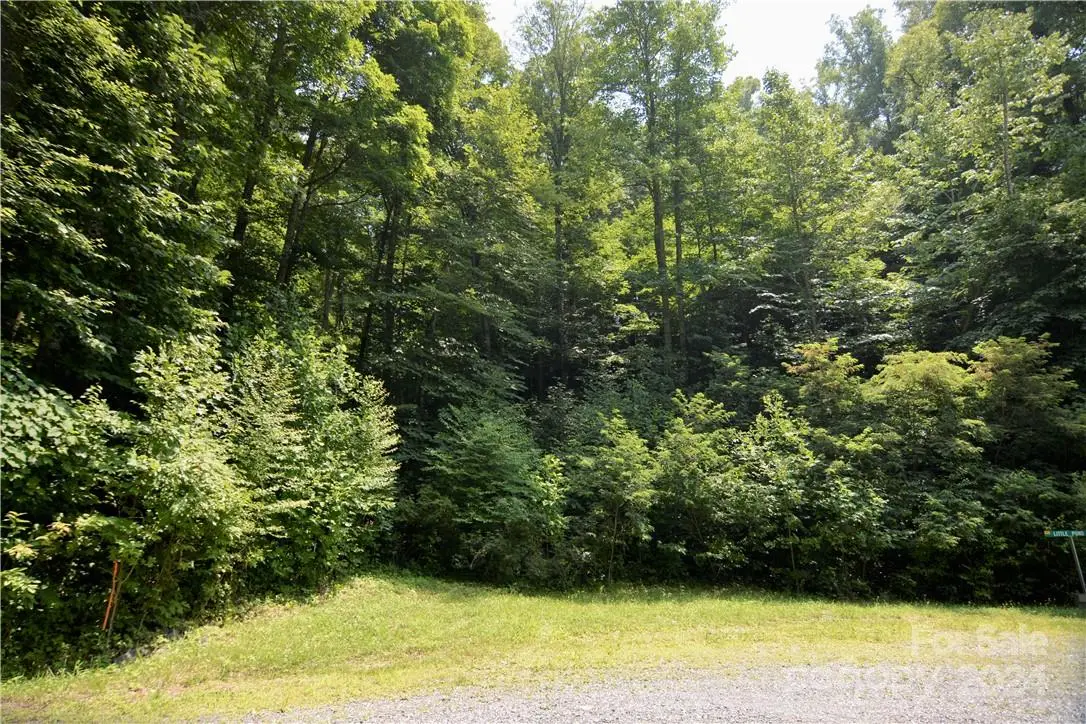 00 Little Pond Pass #Lot 33, Mars Hill, NC 28754 - Image #1