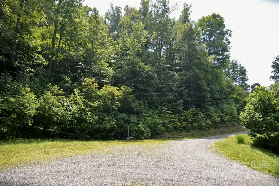 00 Little Pond Pass #Lot 33, Mars Hill, NC 28754 - Image #3