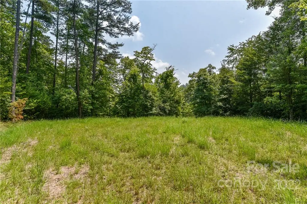 Lot 4 The Vines Boulevard #Lot 4, Marshall, NC 28753 - Image #1