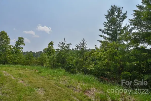Lot 11 The Vines Boulevard #Lot 11, Marshall, NC 28753