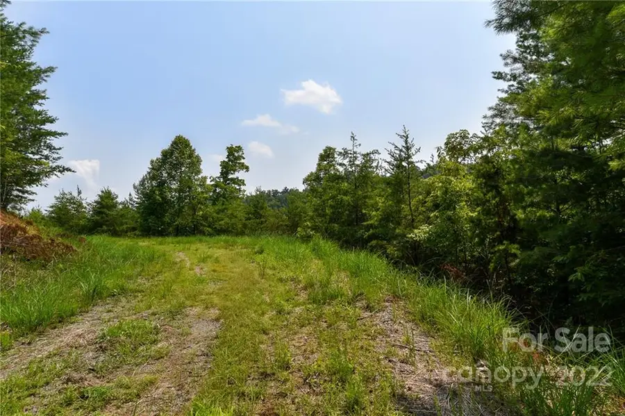 Lot 11 The Vines Boulevard #Lot 11, Marshall, NC 28753 - Image #2
