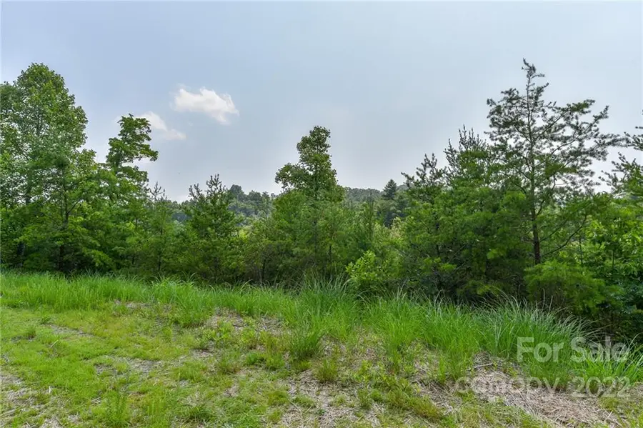 Lot 11 The Vines Boulevard #Lot 11, Marshall, NC 28753 - Image #3