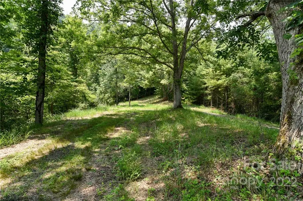 Lot 13 The Vines Boulevard #Lot 13, Marshall, NC 28753 - Image #1