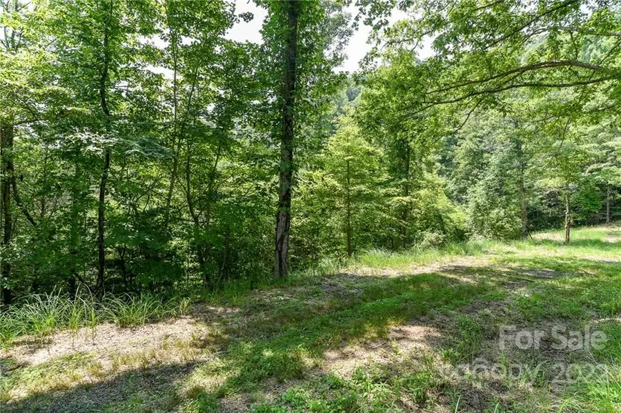 Lot 13 The Vines Boulevard #Lot 13, Marshall, NC 28753 - Image #2