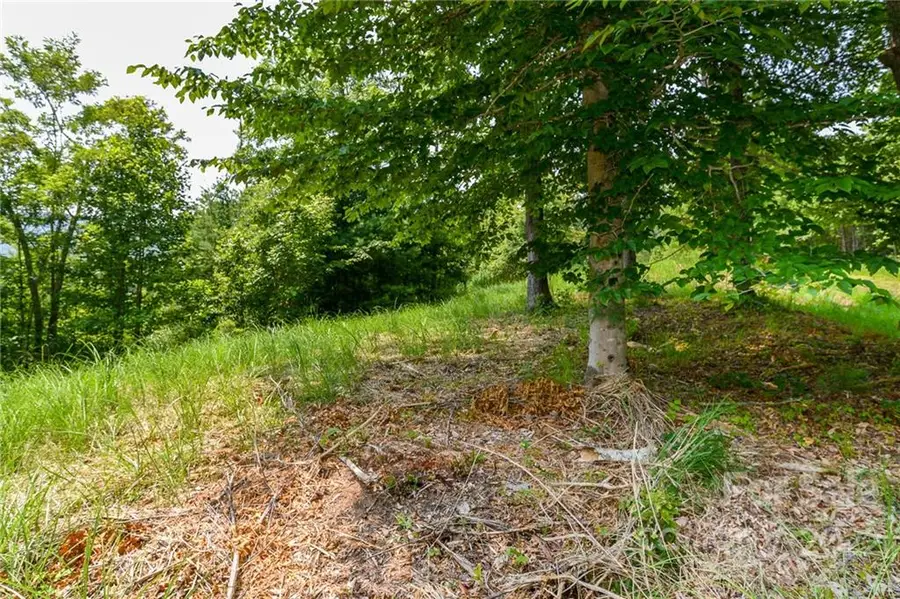 319 The Vines Boulevard #21, Marshall, NC 28753 - Image #2