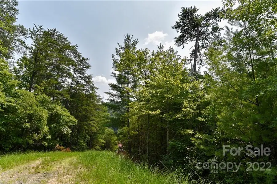 Lot 22 The Vines Boulevard #Lot 22, Marshall, NC 28753 - Image #2