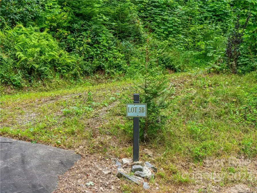 45 Flora Rose Trail, Asheville, NC 28803 - Image #3