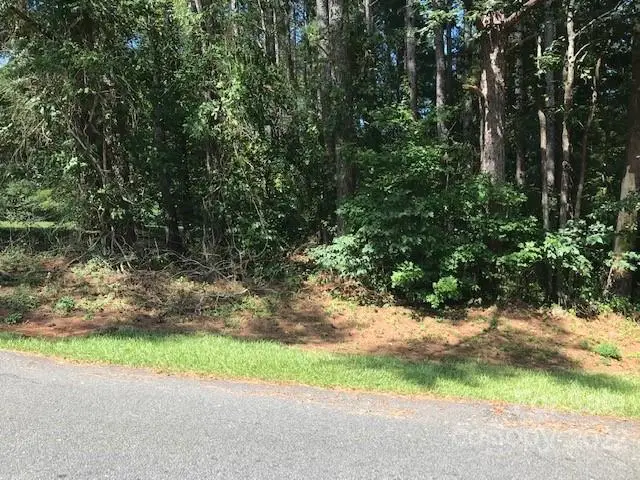 00 River Hills Drive, Forest City, NC 28043 - Image #2