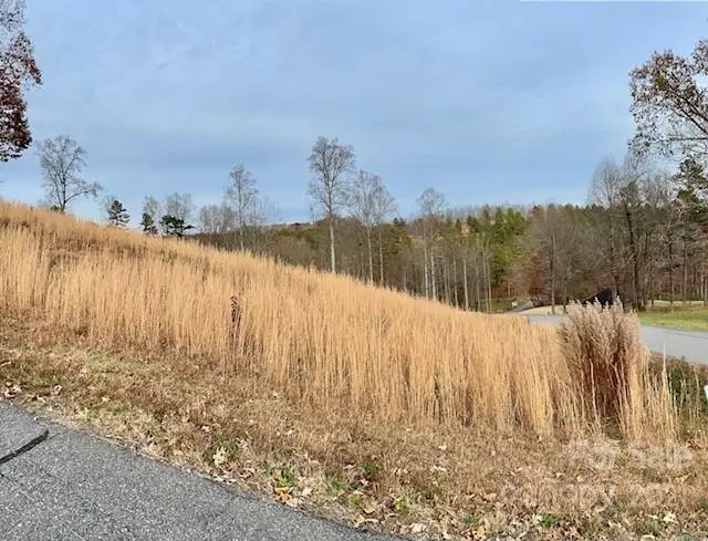 3612 Cornwell Court #139, Morganton, NC 28655 - Image #1