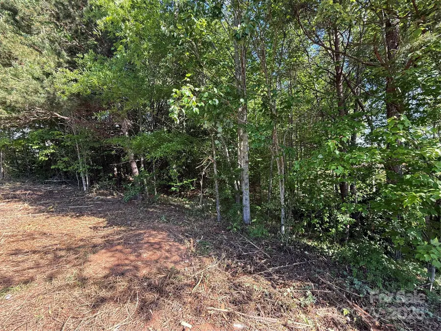 Lot 12 Wittenburg Springs Drive #012, Taylorsville, NC 28681 - Image #2