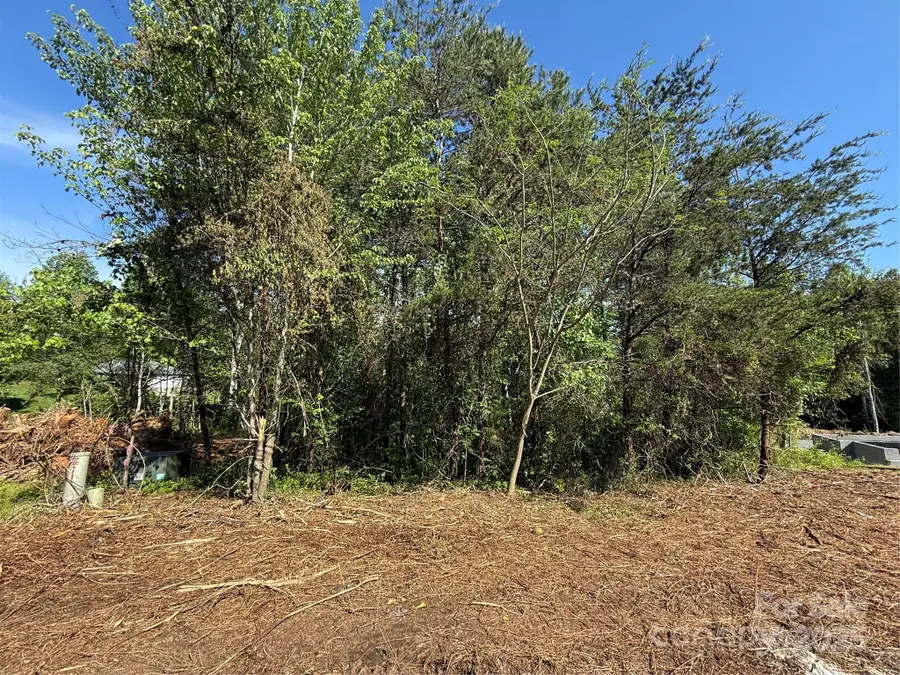 Lot 29 Wittenburg Springs Drive #029, Taylorsville, NC 28681 - Image #2