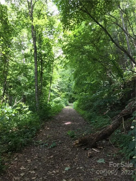 TBD Mcguires Ridge #321-322, Waynesville, NC 28786 - Image #3