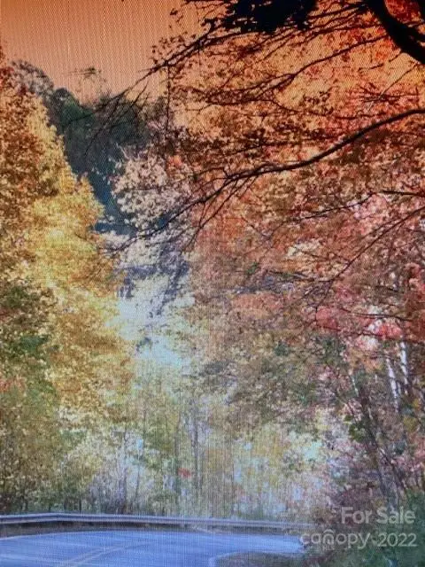 00 Trillium Lane, Mars Hill, NC 28754 - Image #1