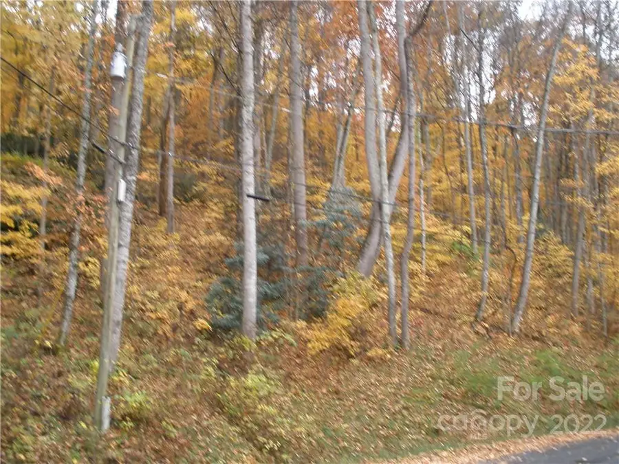 Lot 13 Dogwood Drive, Maggie Valley, NC 28751 - Image #2