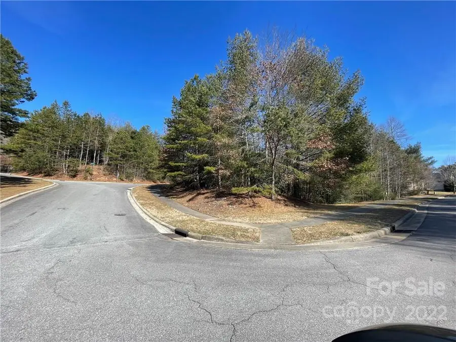 V30 Blueberry Hill Road, Brevard, NC 28712 - Image #3