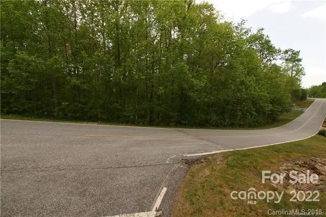 129 Pinnacle Peak Lane, Flat Rock, NC 28731 - Image #3