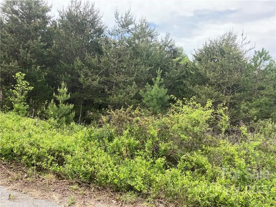 V/L Virginia Ridge #67, Connelly Springs, NC 28612 - Image #2