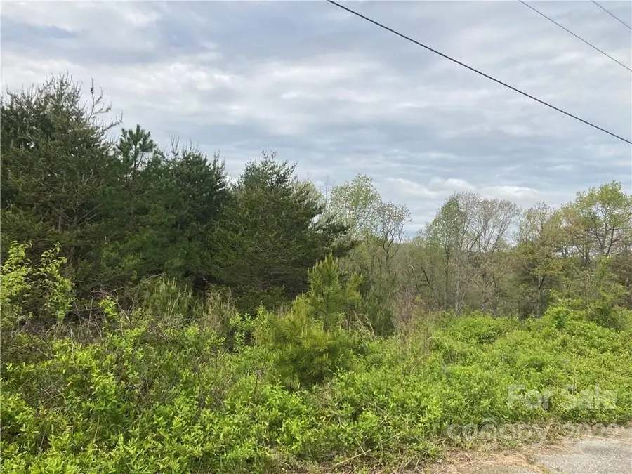 V/L Virginia Ridge #67, Connelly Springs, NC 28612 - Image #3