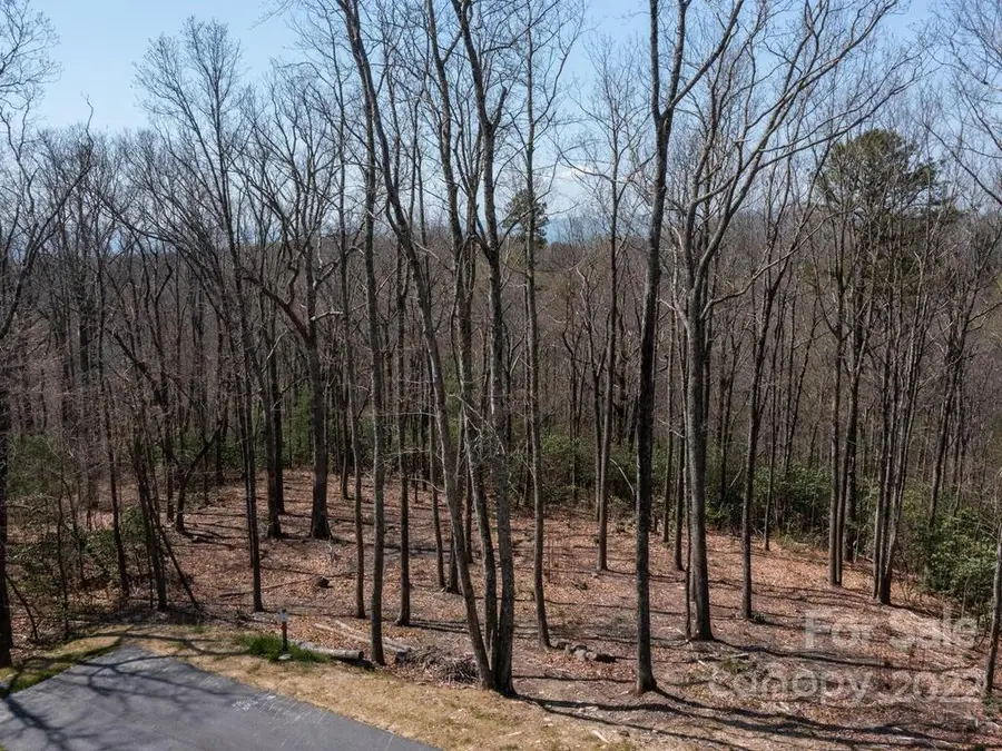 148 Spring Song Lane #6, Fletcher, NC 28732 - Image #2