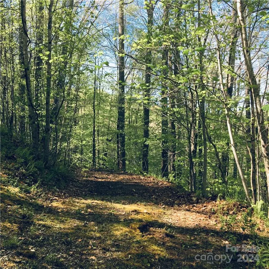 TBD Fern Hill Drive #28-29, Mars Hill, NC 28754 - Image #2