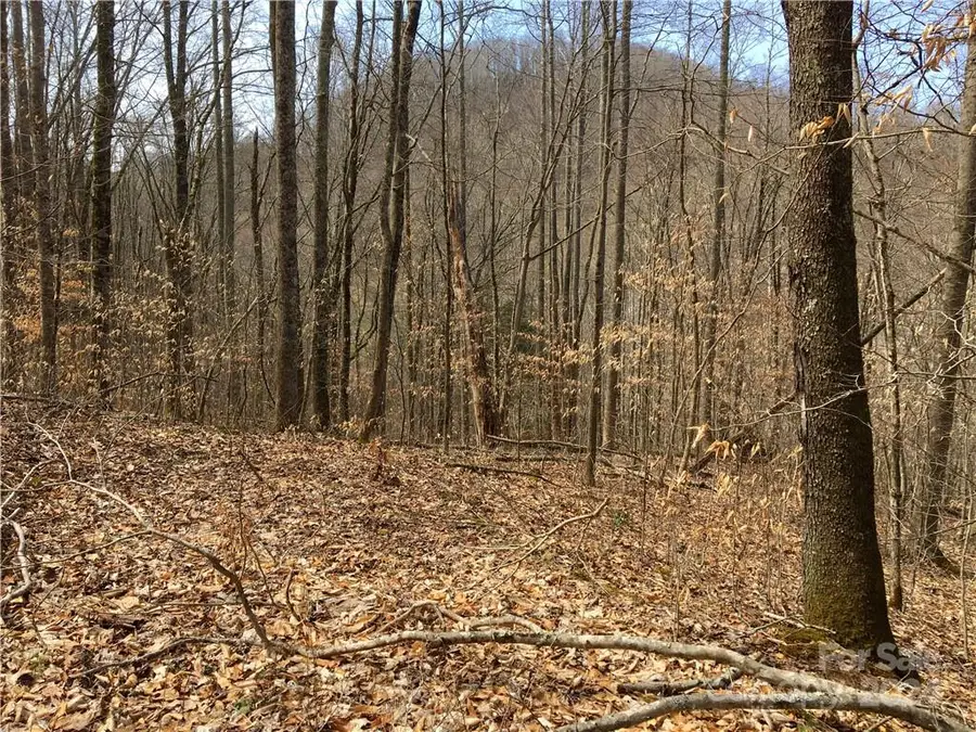 TBD Fern Hill Drive #28-29, Mars Hill, NC 28754 - Image #3