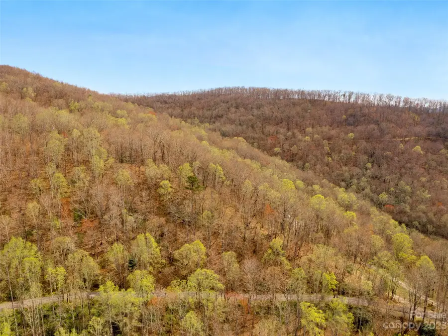 9999-6 Merrills Ridge Road #6, Asheville, NC 28803 - Image #3