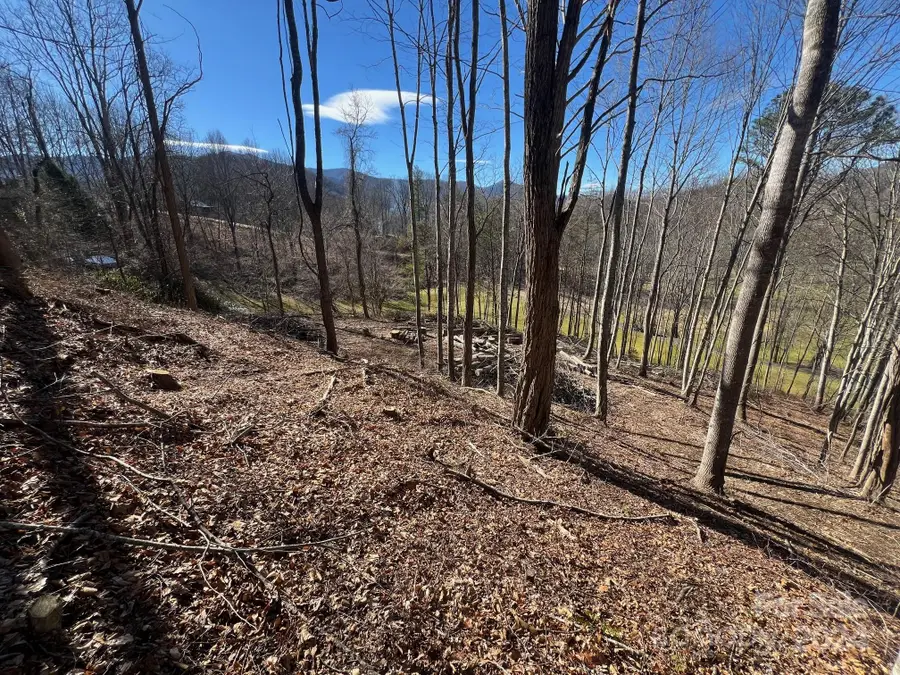 0 Divot Drive #A-11, Canton, NC 28716 - Image #3