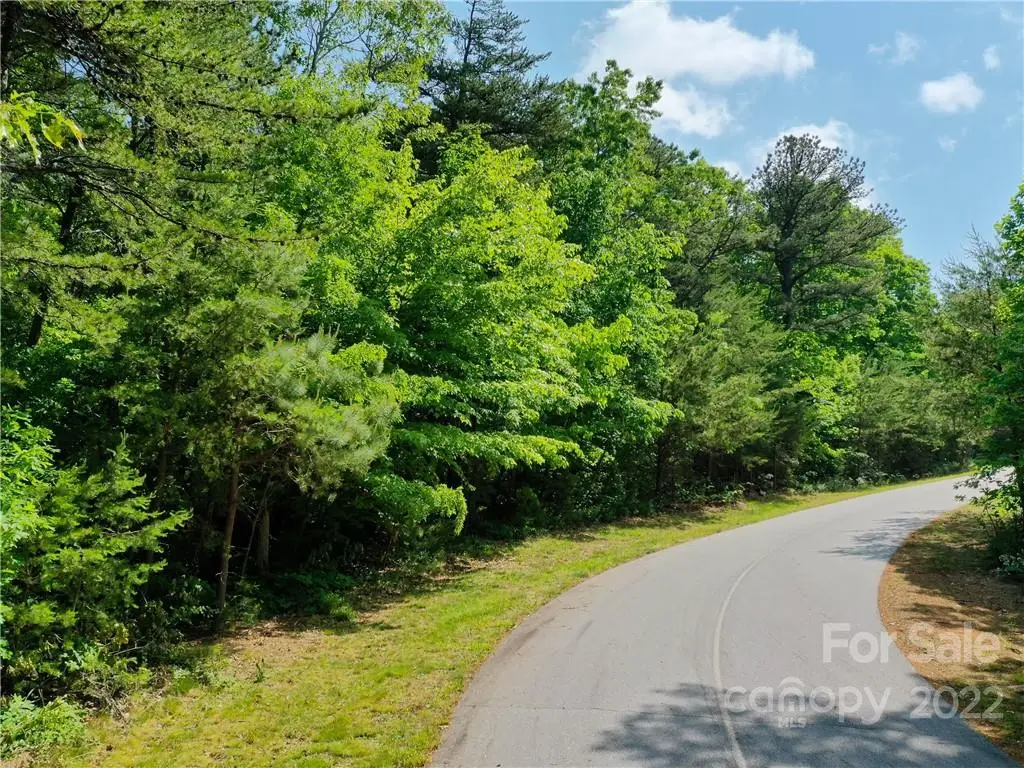 LOT 295 Eastman Place, Mill Spring, NC 28756 - Image #1