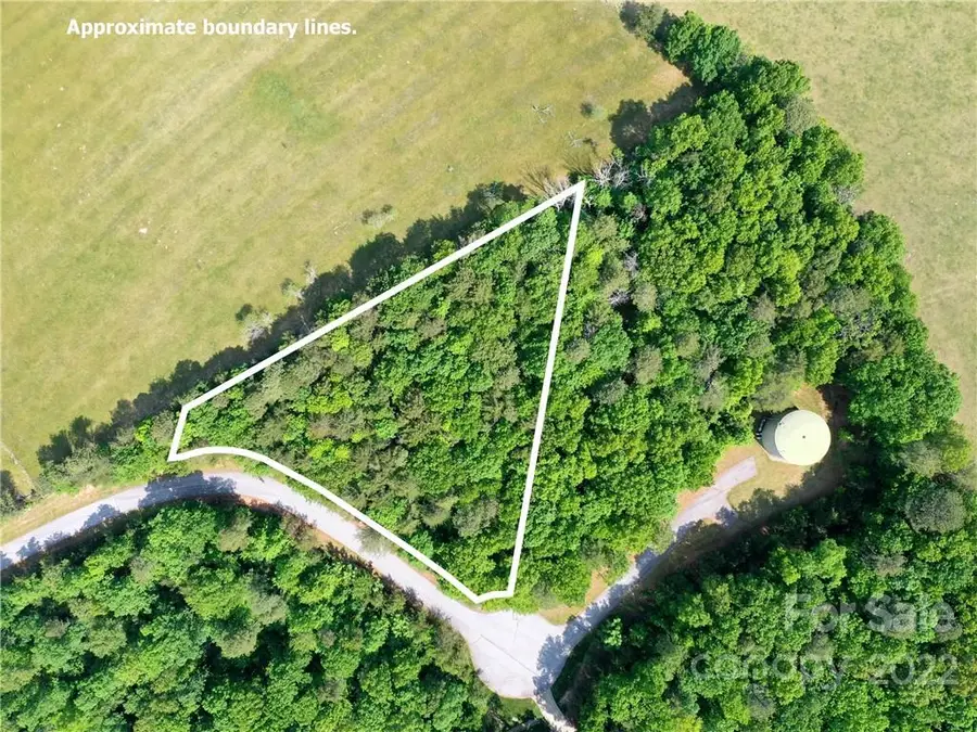 LOT 295 Eastman Place, Mill Spring, NC 28756 - Image #3