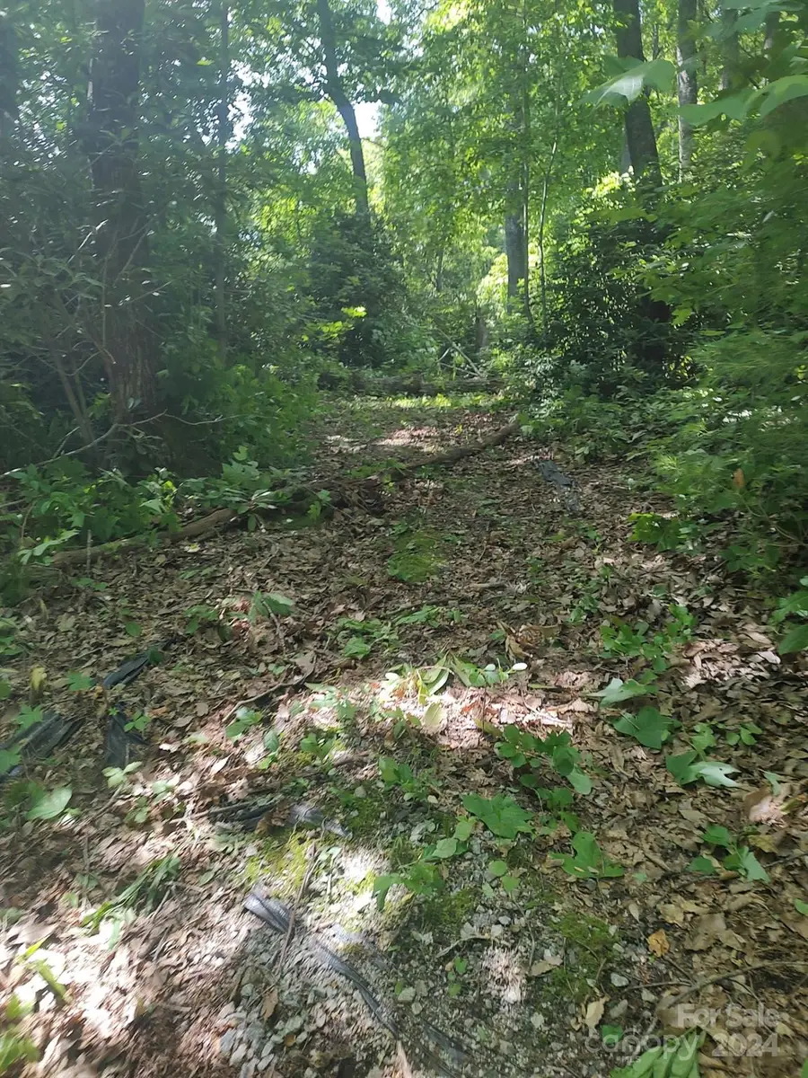 314 Burnside Trail #44, Hendersonville, NC 28792 - Image #2