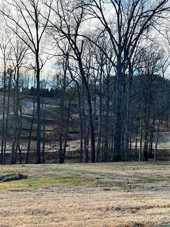 4254 Plantation Drive #35, Morganton, NC 28655