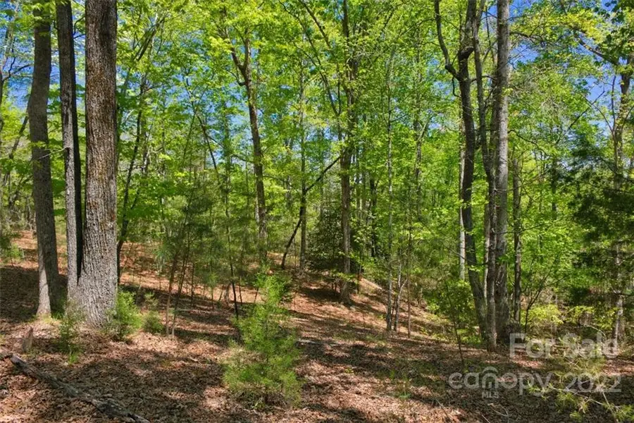 0 Hearthstone Drive #73, Union Mills, NC 28167 - Image #2