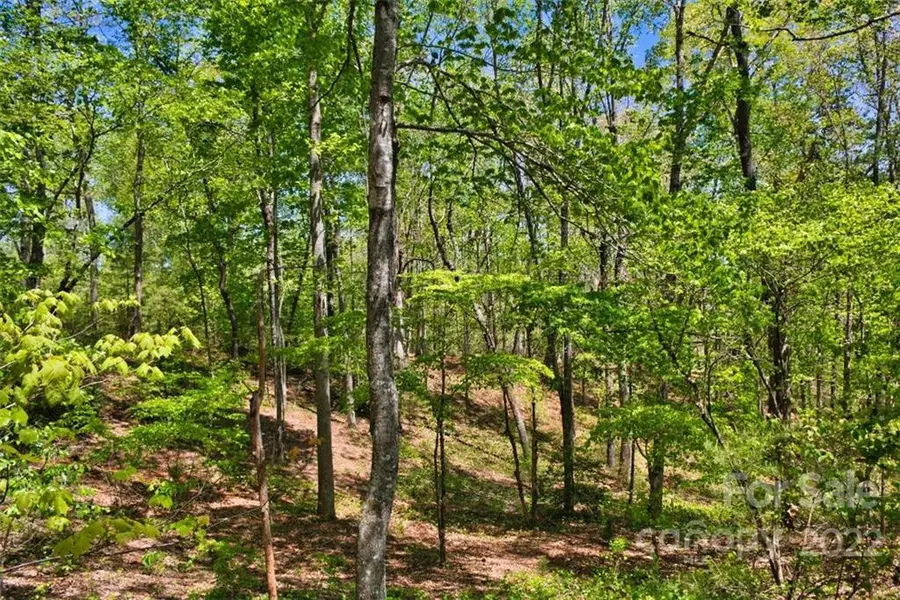 0 Hearthstone Drive #73, Union Mills, NC 28167 - Image #3