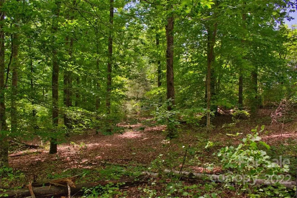 0 Midnight Pass #337, Rutherfordton, NC 28139 - Image #1