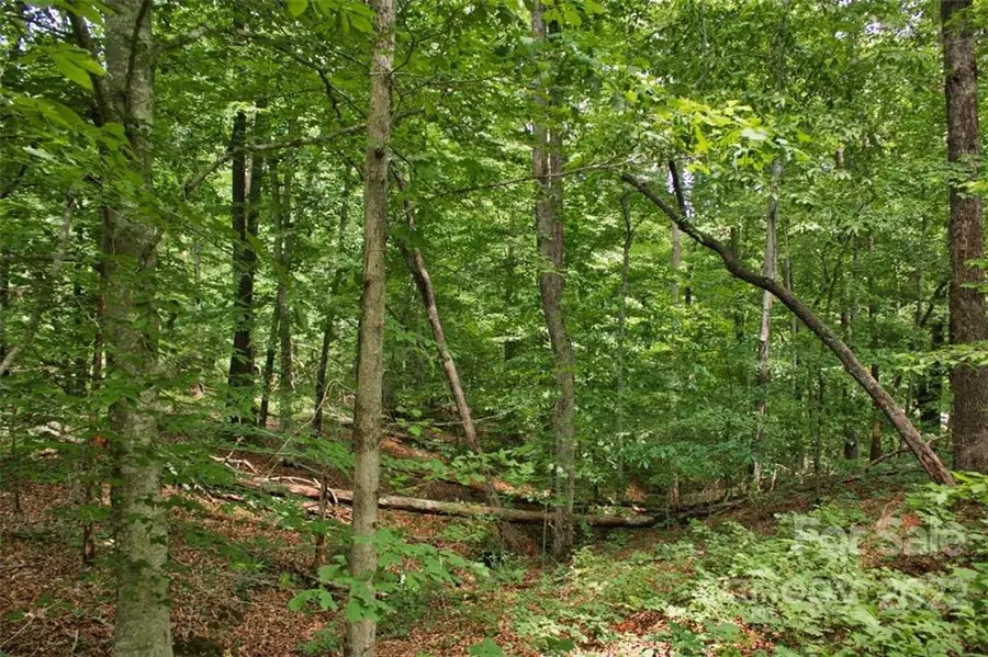 0 Midnight Pass #337, Rutherfordton, NC 28139 - Image #2