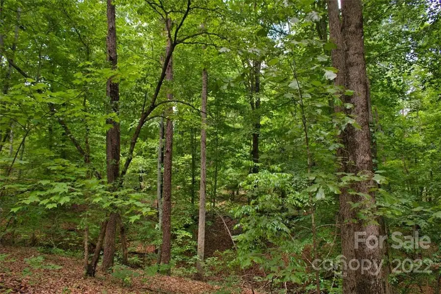 0 Midnight Pass #337, Rutherfordton, NC 28139 - Image #3