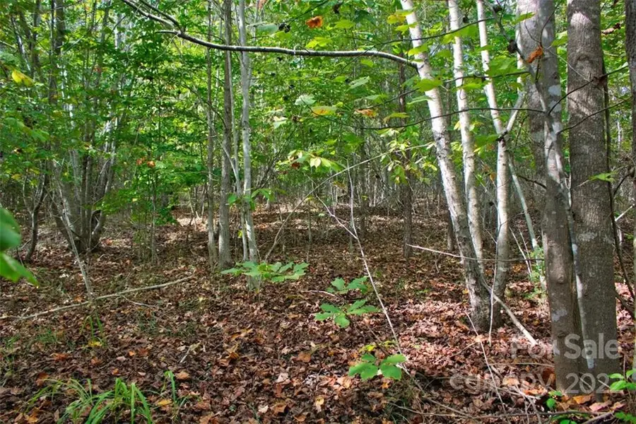 0 Chimney Creek Lane #194, Rutherfordton, NC 28139 - Image #2