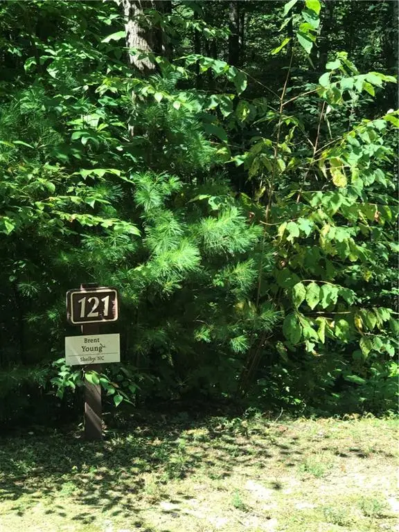 190 Huckleberry Ridge Lane, Zirconia, NC 28790 - Image #3