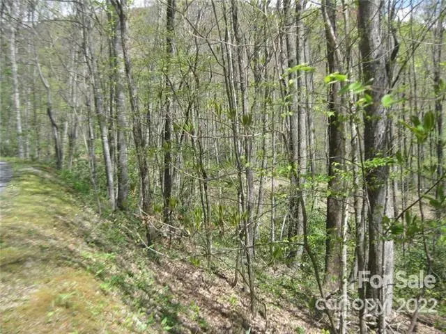 23 Wood Haven Lane #113, Black Mountain, NC 28711 - Image #2