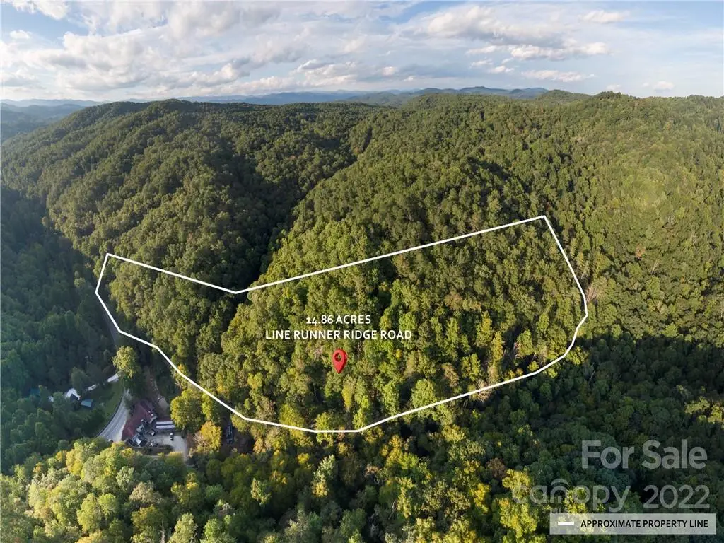 00 Line Runner Ridge Road, Rosman, NC 28772 - Image #1