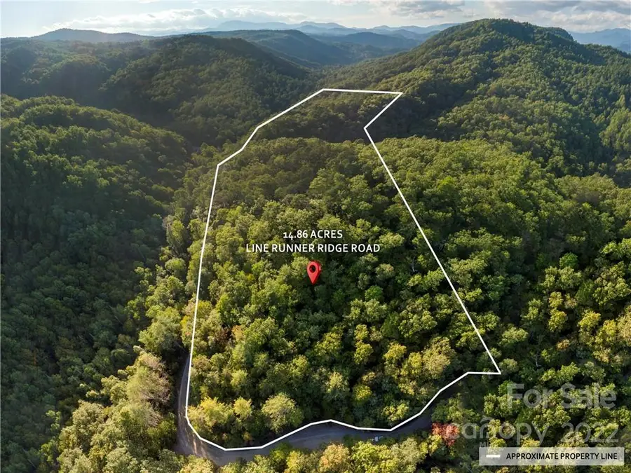 00 Line Runner Ridge Road, Rosman, NC 28772 - Image #2