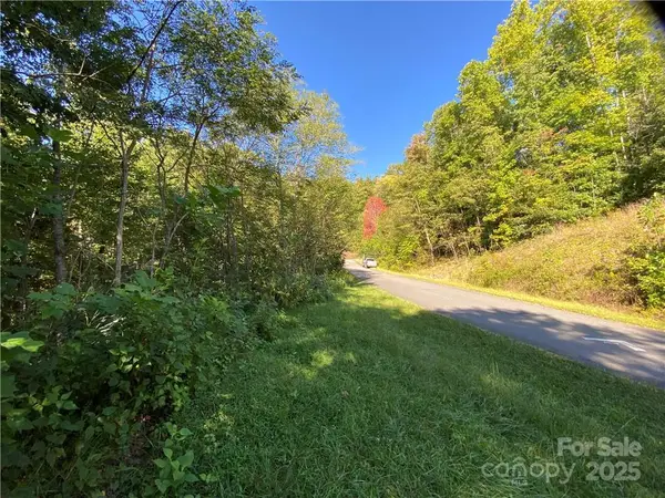 46 Holmstead Drive #46, Lake Lure, NC 28746