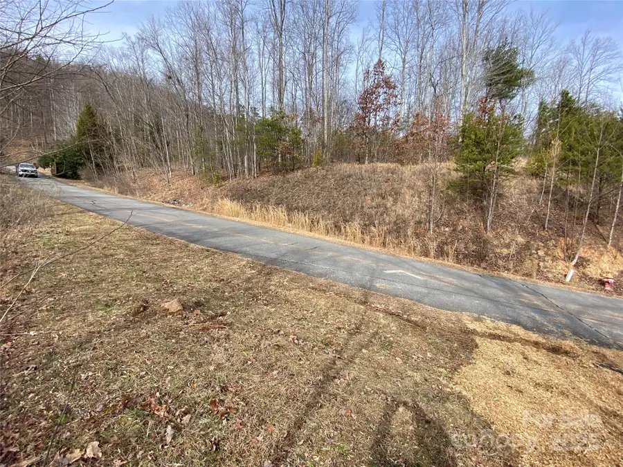 46 Holmstead Drive #46, Lake Lure, NC 28746 - Image #3