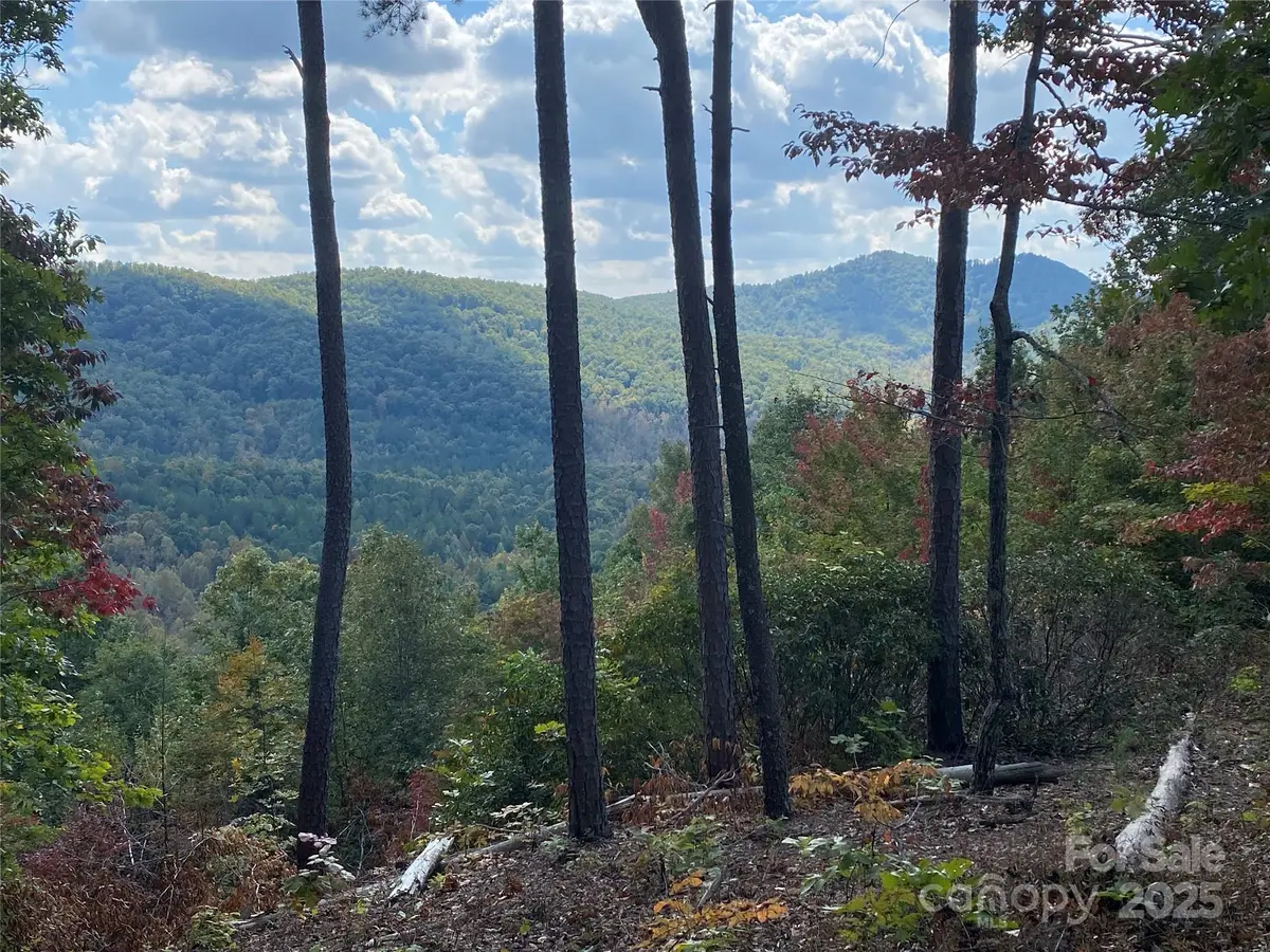 61 Scenic Vista Drive #238, Nebo, NC 28761 - #1