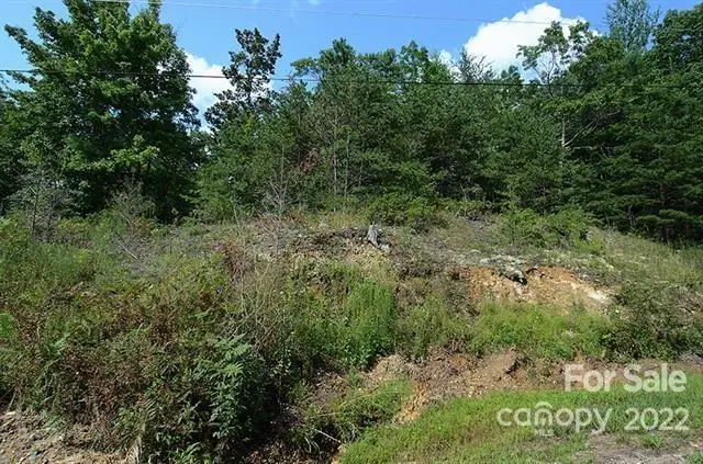 Lot 32G Sequoyah Circle #32G, Marion, NC 28752 - Image #2
