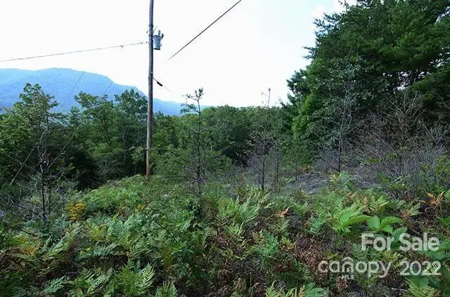 Lot 32G Sequoyah Circle #32G, Marion, NC 28752 - Image #3